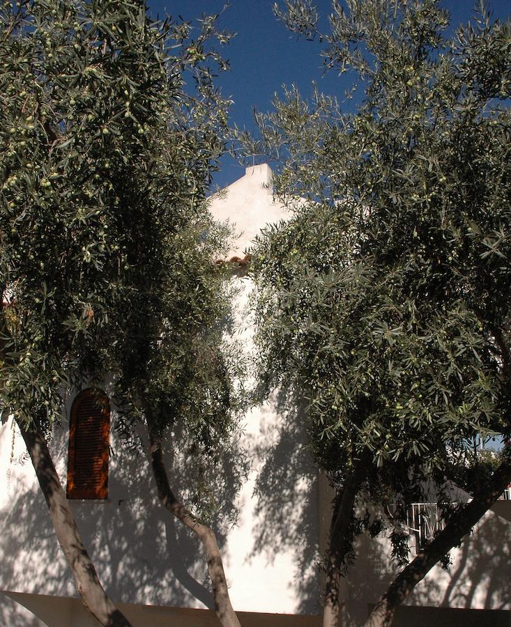 Residence Villa Tina Forio di Ischia Dış mekan fotoğraf